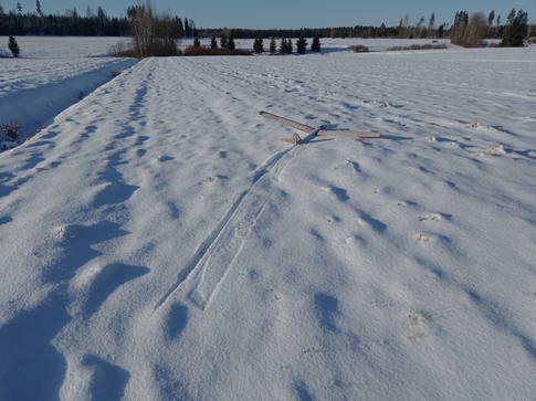 Snow surfing glider