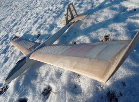 Lynx Pawn Print in Snow Frosty Wing