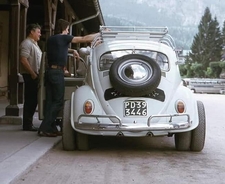 Beetle with dual rear wheels