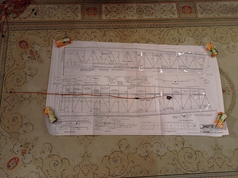 Sagitta 900 plus wing plan