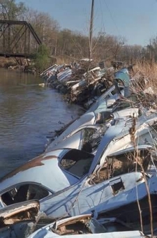 River Bank of Cars