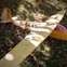 Scheibe Spatz sailplane