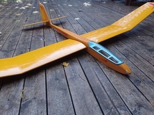 Pilot Harlequin sailplane