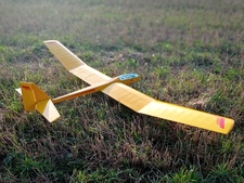 Pilot Harlequin glider