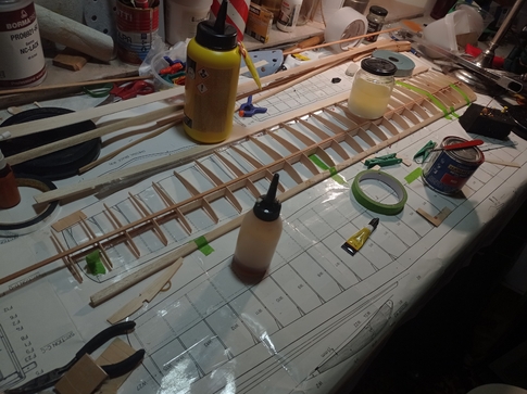 RC glider Sunny wing