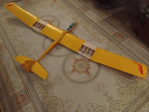Pilot Harlequin RC sailplane