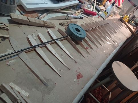 Cirrus wing ribs