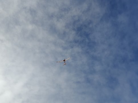 Sunny soaring