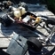 Kyosho Circuit20 Chassis
