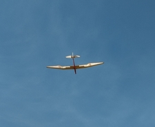 Soaring Bird of Time