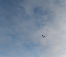 5907_m_3507355de0695851