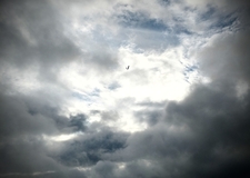 5916_m_ecf740b12f003d4b