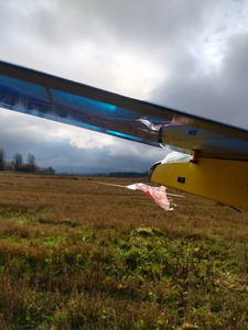 5917_m_a8a9559a8702f7d3