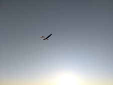 5919_m_8b67f4335c7018bb