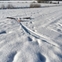 Sailplane on powder snow