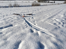 5926_m_4bb58e7c4f7c8754