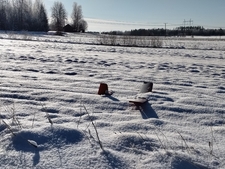 5929_m_6f96689ca19e23cb