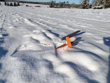 5930_m_33cb6c617a529580