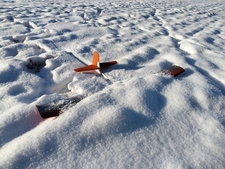 5931_m_20b76ceab05f2c74