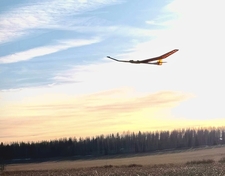 5945_m_539cf0de13269d4b